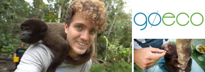 Wildlife Conservation in Ecuador